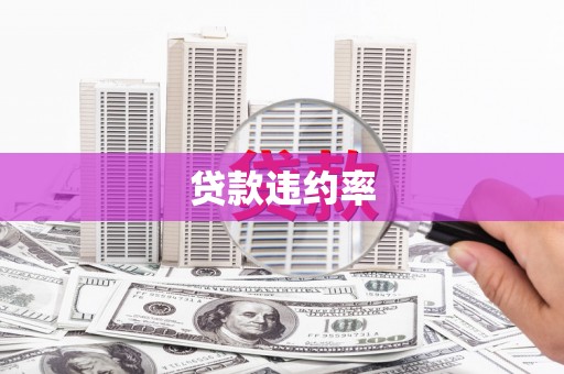 东昌府贷款违约率