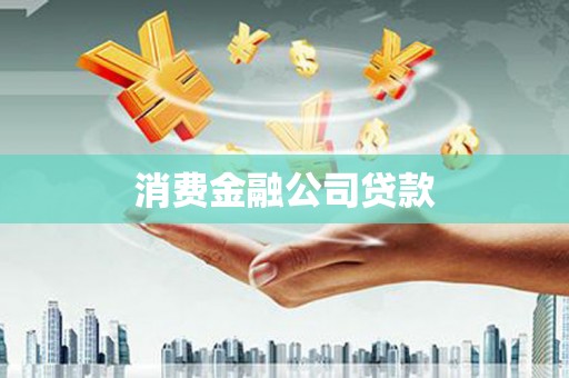 东昌府消费金融公司贷款