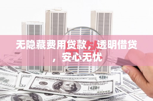 东昌府无隐藏费用贷款，透明借贷，安心无忧