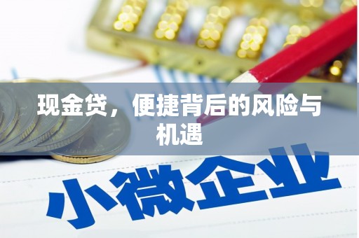 东昌府现金贷，便捷背后的风险与机遇