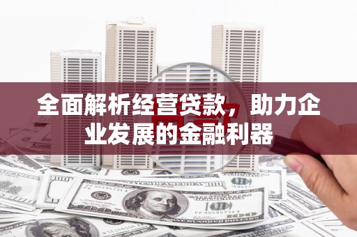 东昌府全面解析经营贷款，助力企业发展的金融利器