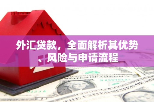 东昌府外汇贷款，全面解析其优势、风险与申请流程