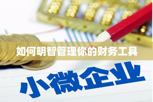 东昌府如何明智管理你的财务工具