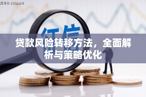 东昌府贷款风险转移方法，全面解析与策略优化