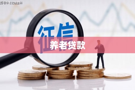 东昌府养老贷款