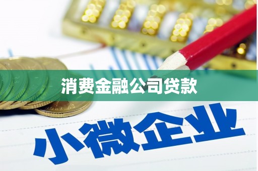 东昌府消费金融公司贷款