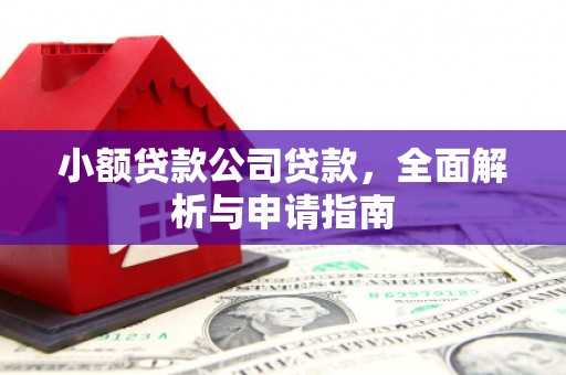 东昌府小额贷款公司贷款，全面解析与申请指南