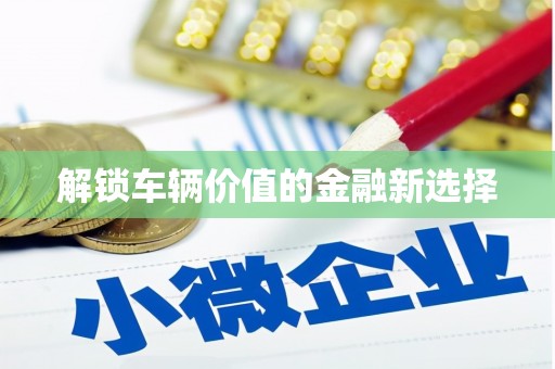 东昌府解锁车辆价值的金融新选择
