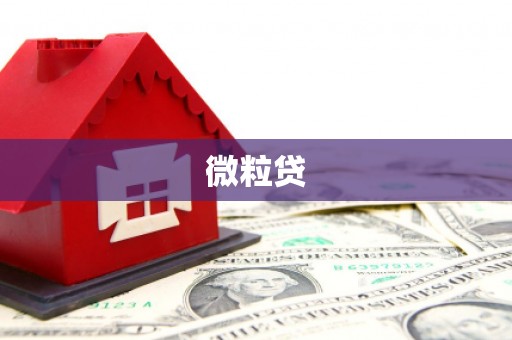 东昌府微粒贷