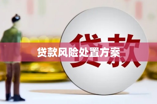 东昌府贷款风险处置方案