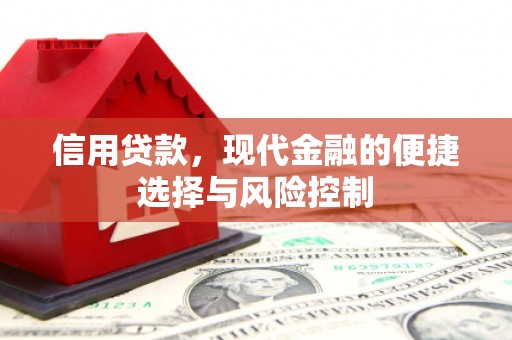 东昌府信用贷款，现代金融的便捷选择与风险控制