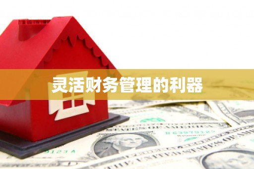 东昌府灵活财务管理的利器