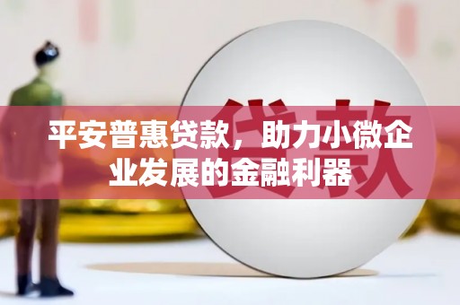 东昌府平安普惠贷款，助力小微企业发展的金融利器