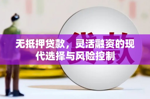 东昌府无抵押贷款，灵活融资的现代选择与风险控制