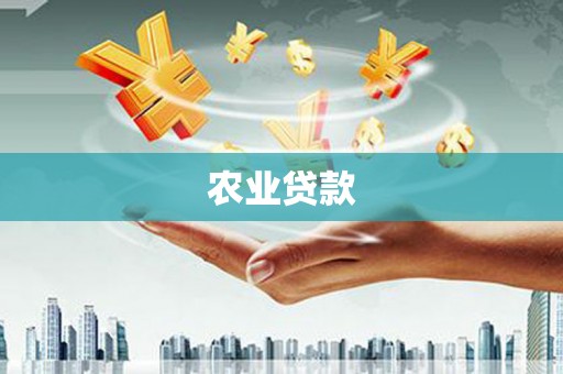 东昌府农业贷款
