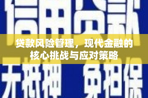 东昌府贷款风险管理，现代金融的核心挑战与应对策略
