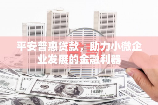东昌府平安普惠贷款，助力小微企业发展的金融利器