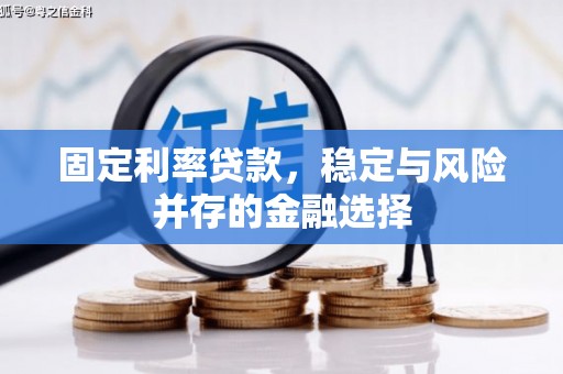 东昌府固定利率贷款，稳定与风险并存的金融选择