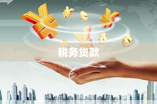 东昌府税务贷款