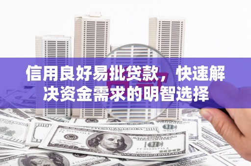 东昌府信用良好易批贷款，快速解决资金需求的明智选择