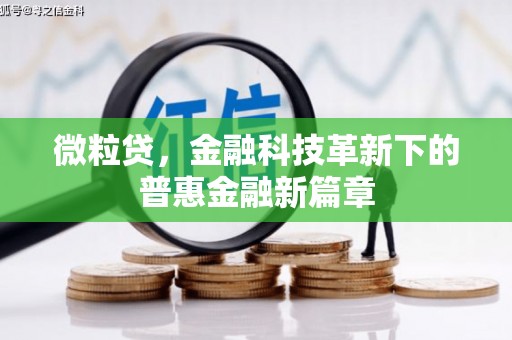 东昌府微粒贷，金融科技革新下的普惠金融新篇章