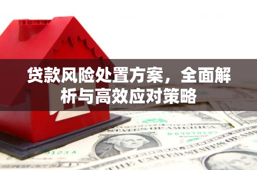 东昌府贷款风险处置方案，全面解析与高效应对策略