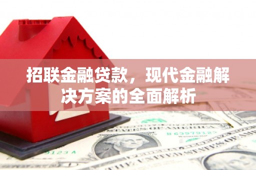 东昌府招联金融贷款，现代金融解决方案的全面解析
