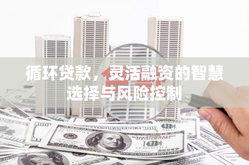 东昌府循环贷款，灵活融资的智慧选择与风险控制