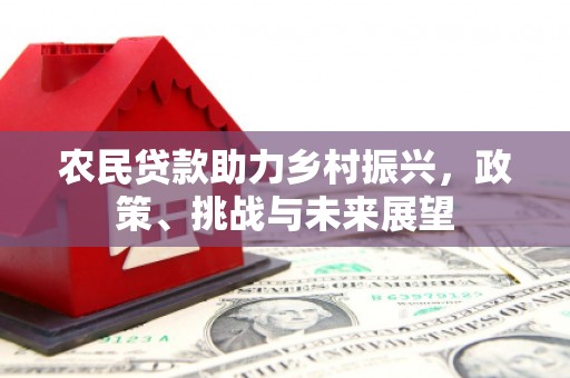 东昌府农民贷款助力乡村振兴，政策、挑战与未来展望