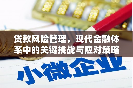 东昌府贷款风险管理，现代金融体系中的关键挑战与应对策略
