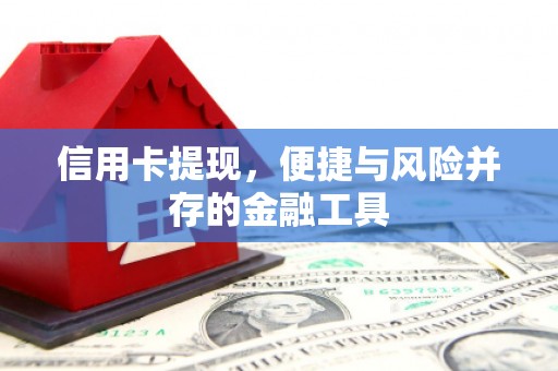 东昌府信用卡提现，便捷与风险并存的金融工具
