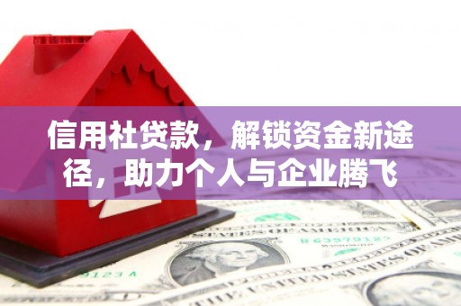 东昌府信用社贷款，解锁资金新途径，助力个人与企业腾飞