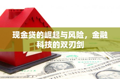 东昌府现金贷的崛起与风险，金融科技的双刃剑