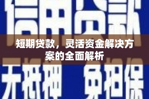 东昌府短期贷款，灵活资金解决方案的全面解析