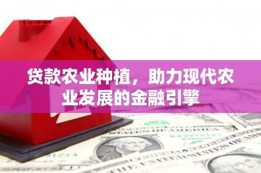 东昌府贷款农业种植，助力现代农业发展的金融引擎