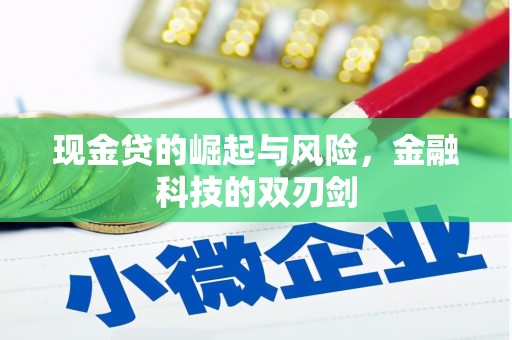 东昌府现金贷的崛起与风险，金融科技的双刃剑