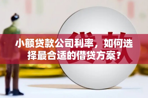 东昌府小额贷款公司利率，如何选择最合适的借贷方案？