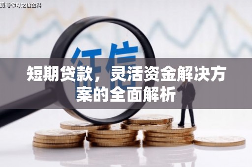 东昌府短期贷款，灵活资金解决方案的全面解析