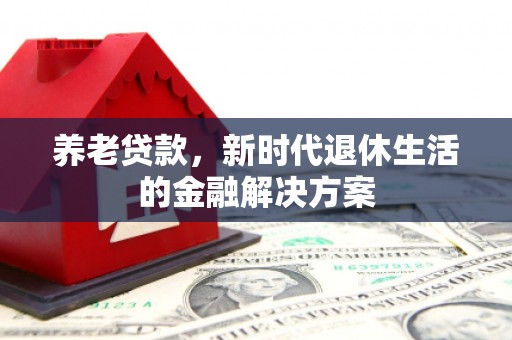 东昌府养老贷款，新时代退休生活的金融解决方案