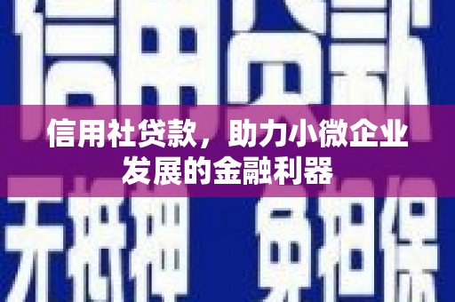 东昌府信用社贷款，助力小微企业发展的金融利器