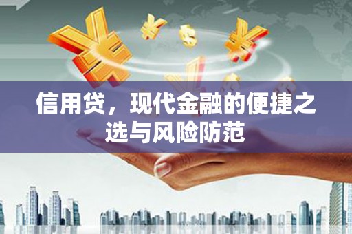 东昌府信用贷，现代金融的便捷之选与风险防范