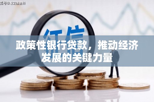 东昌府政策性银行贷款，推动经济发展的关键力量