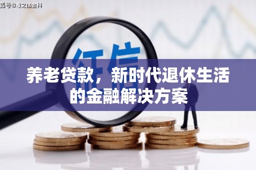 东昌府养老贷款，新时代退休生活的金融解决方案