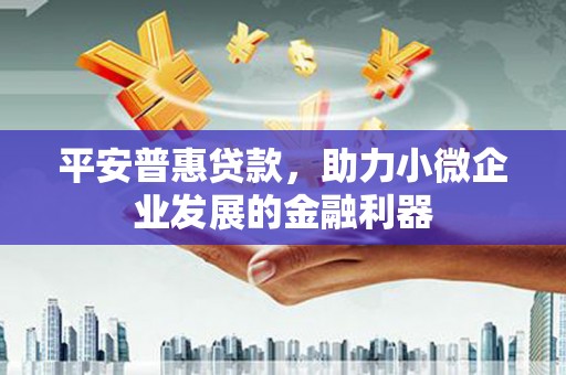 东昌府平安普惠贷款，助力小微企业发展的金融利器
