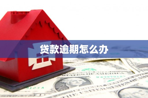 东昌府贷款逾期怎么办