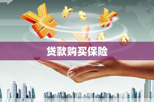 东昌府贷款购买保险