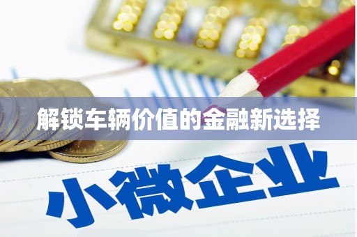 东昌府解锁车辆价值的金融新选择