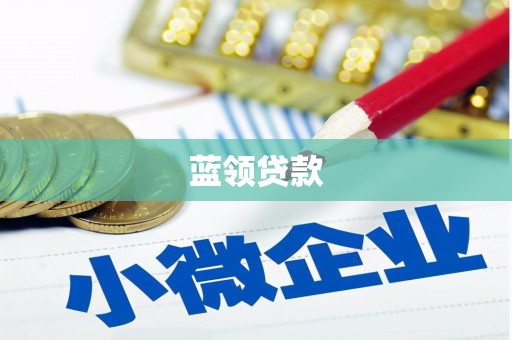 东昌府蓝领贷款