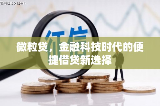 东昌府微粒贷，金融科技时代的便捷借贷新选择