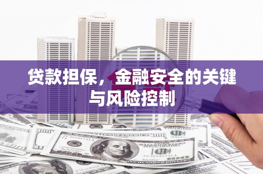东昌府贷款担保，金融安全的关键与风险控制